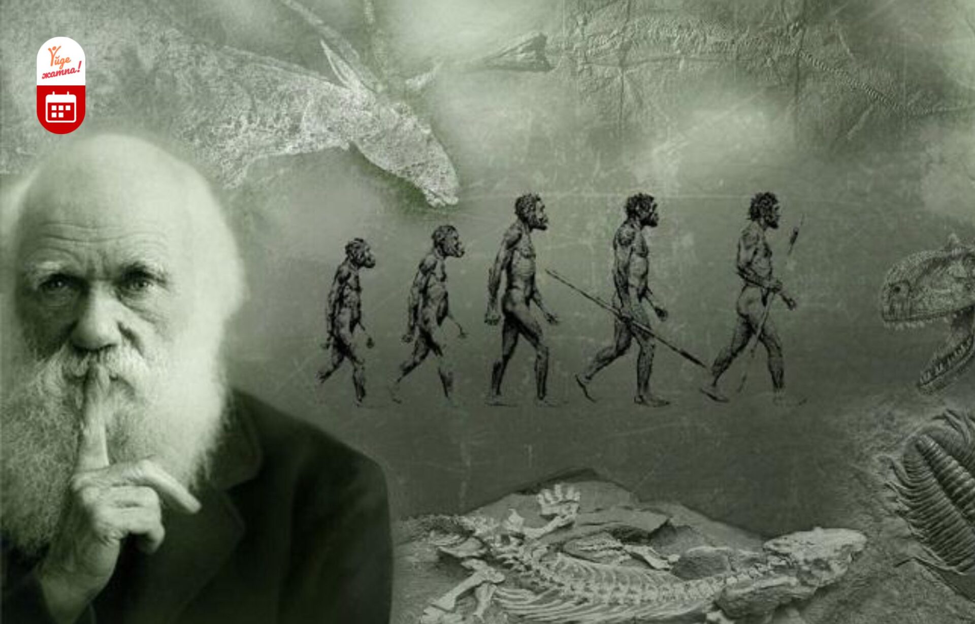 Открывая все новые и новые законы природы. Теория Чарльза Дарвина. Эволюционная теория Чарльза Дарвина.